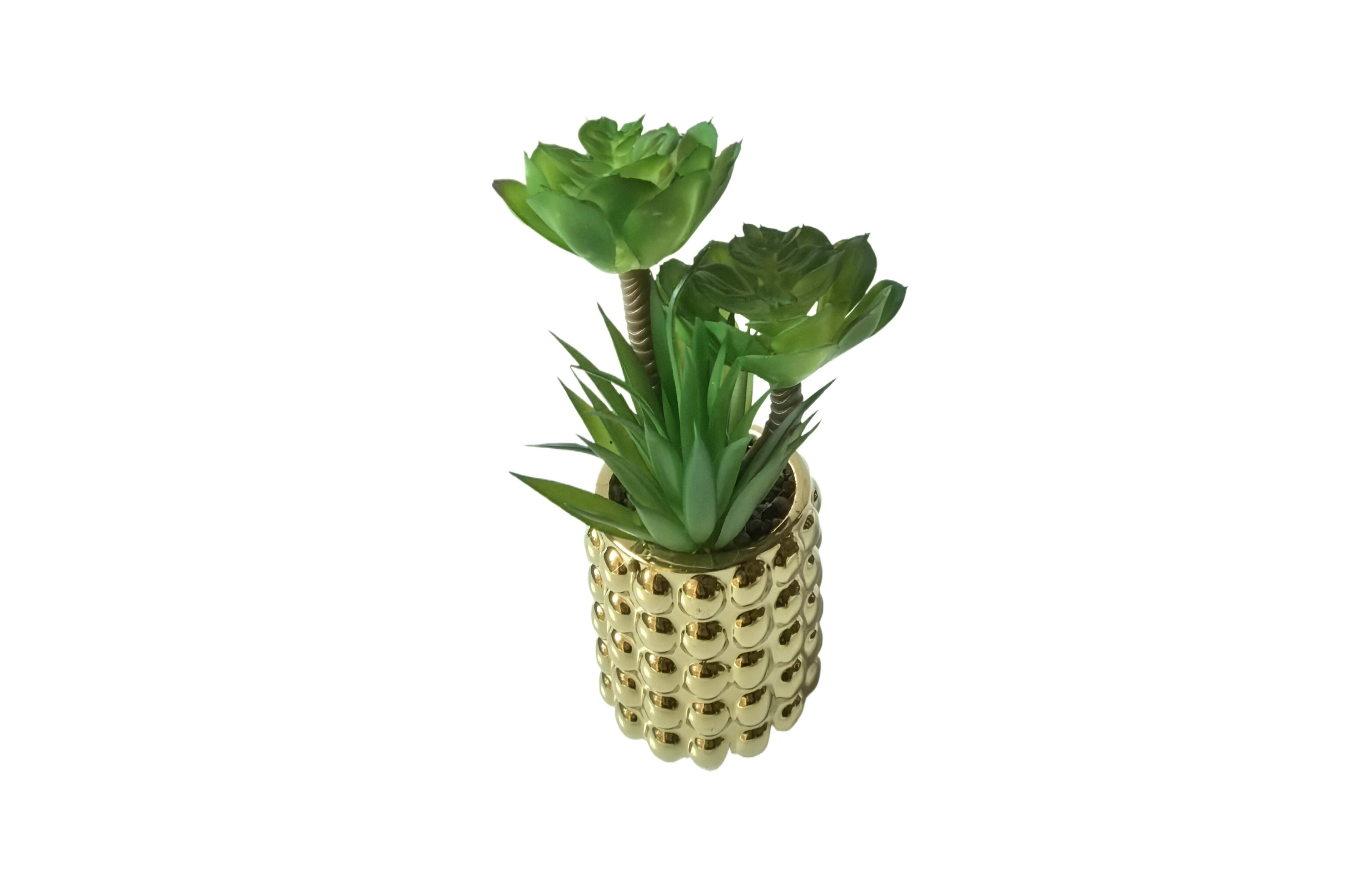 Chic faux succulent in a shiny gold bubble pot on white background.